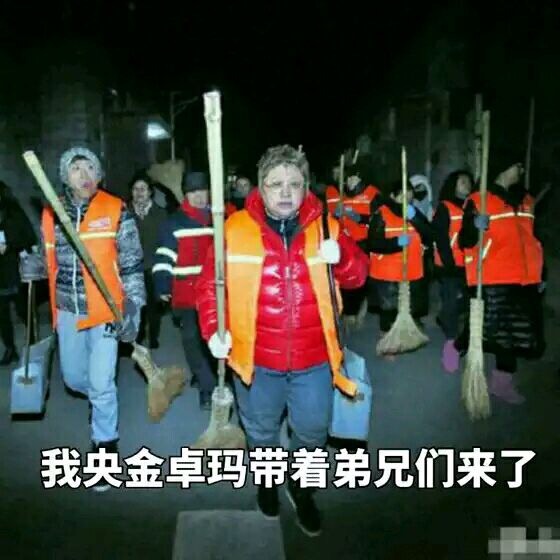 我韩某人一棒子表情包大全 韩红表情包无水印高清大全