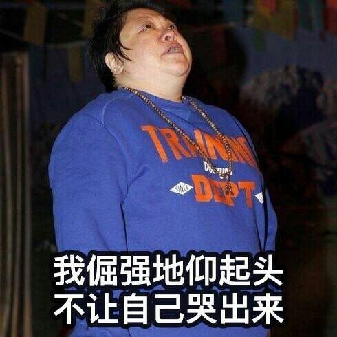 我韩某人一棒子表情包大全 韩红表情包无水印高清大全