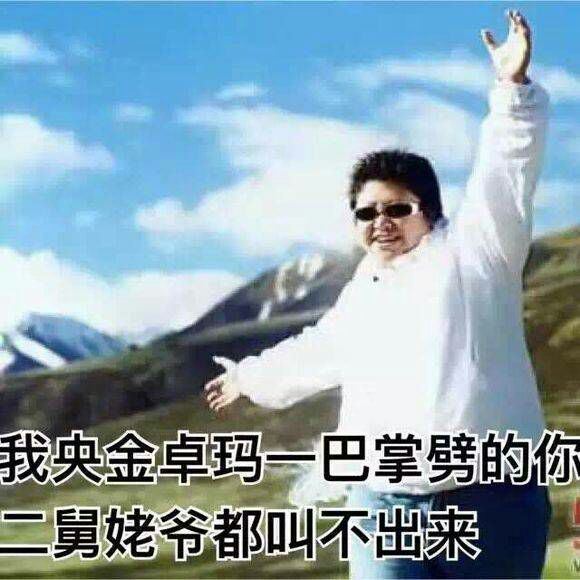 我韩某人一棒子表情包大全 韩红表情包无水印高清大全
