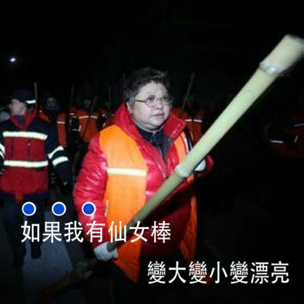 我韩某人一棒子表情包大全 韩红表情包无水印高清大全