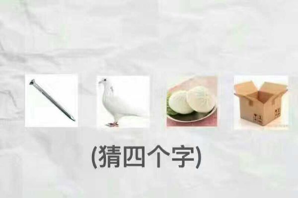 一个钉子一只鸽子两个包子一个盒子是什么梗 一个钉子一只鸽子两个包子一个盒子是什么意思