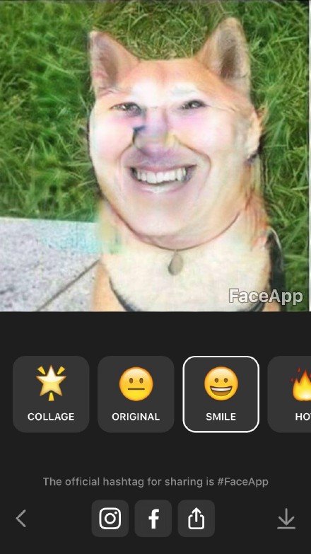 FaceApp表情包下载 Face表情图片大全