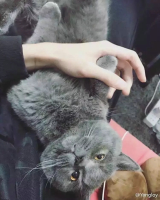 手控图片女高清壁纸 手控图片男高清壁纸