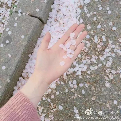 手控图片女高清壁纸 手控图片男高清壁纸