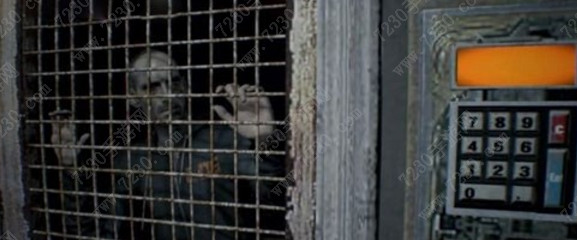 生化危机7密码门密码是多少 卢卡斯密码门的正确密码