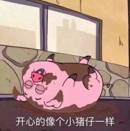 你是我全世界最喜欢的猪图片  你是我最喜欢的猪图片表情包大全
