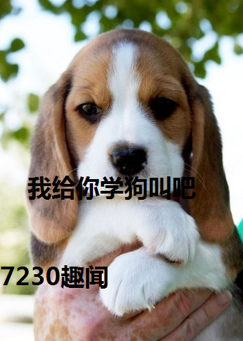 我给你学狗叫吧套路 我给你学狗叫吧是什么套路