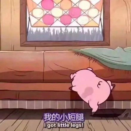 你是我全世界最喜欢的猪图片  你是我最喜欢的猪图片表情包大全