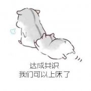 达成共识表情包大全 明天达成共识表情包 没有达成共识表情包