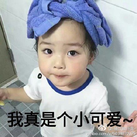 权律二表情包gif大全  权律二动态表情包下载
