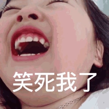 权律二表情包gif大全  权律二动态表情包下载