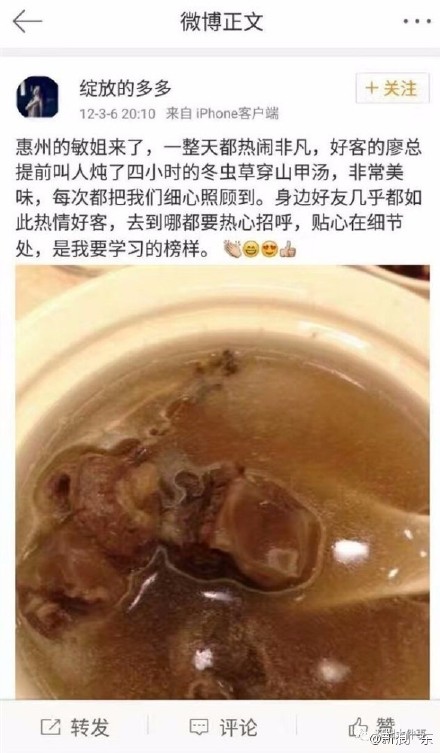 穿山甲公主是谁 穿山甲公主微博@绽放的多多
