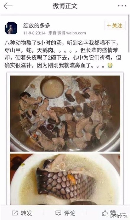 穿山甲公主是谁 穿山甲公主微博@绽放的多多