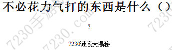 不必花力气打的东西是什么 不必花力气打的是什么东西