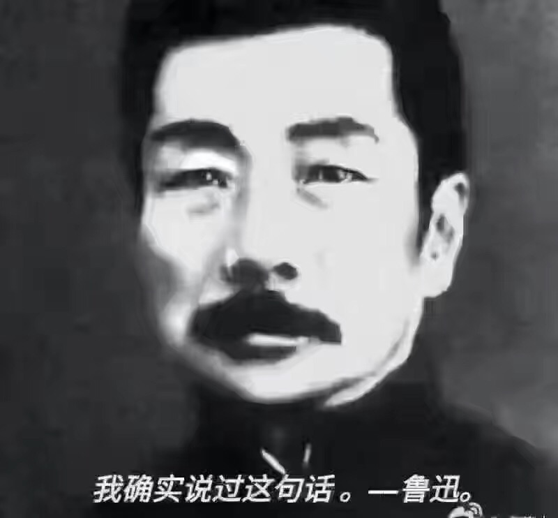 我没说过这句话鲁迅表情包下载 我没说过这句话鲁迅表情图片大全