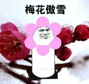 熊猫头骄傲表情包下载 金馆长傲娇表情包高清大全下载