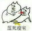 肥宅表情包 社会肥宅表情包 不一样的肥宅表情包大全