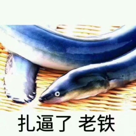 扎逼了老铁什么意思 扎逼了老铁什么梗