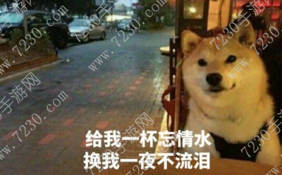 月入一狗是多少钱 月入一狗是什么梗