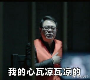 刘新建高亚麟表情包大全  刘新建我有7个亿你有吗表情包大全