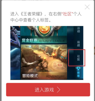 王者荣耀个人标签怎么查看 王者荣耀查看个人标签方法