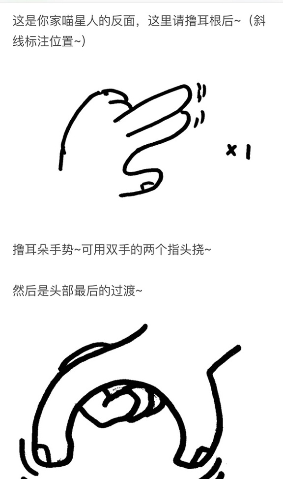 撸猫是什么意思 撸猫是什么梗