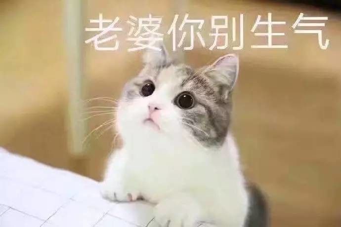 老婆你在哪表情包高清下载 老婆你在干嘛表情包高清无水印