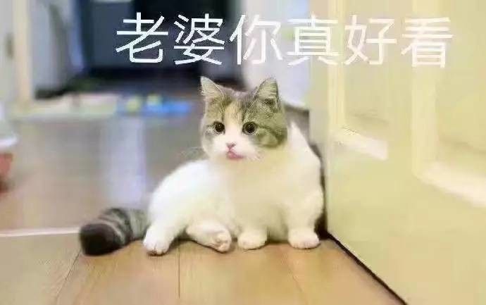 老婆你在哪表情包高清下载 老婆你在干嘛表情包高清无水印