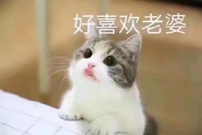 老婆你在哪表情包高清下载 老婆你在干嘛表情包高清无水印