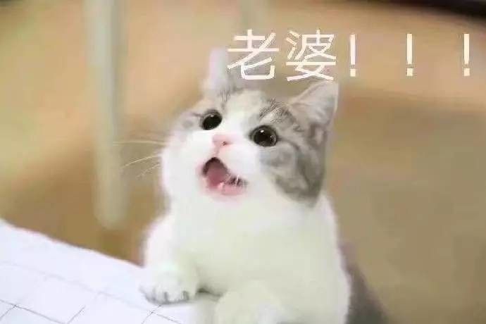 老婆你在哪表情包高清下载 老婆你在干嘛表情包高清无水印