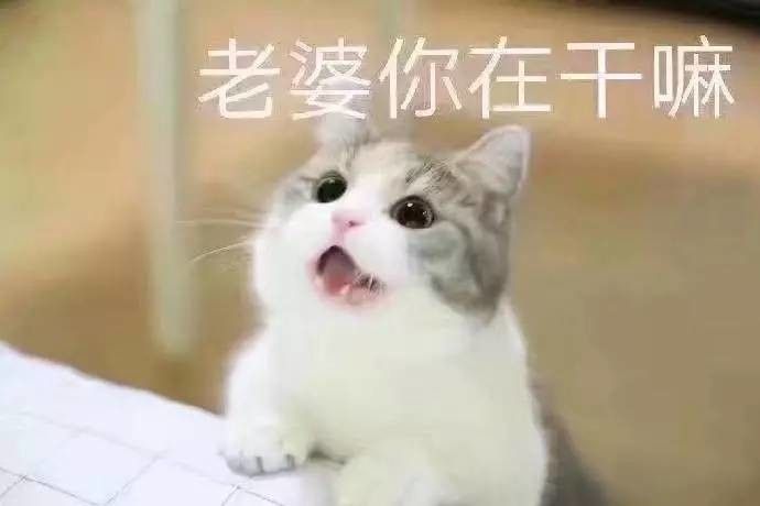 老婆你在哪表情包高清下载 老婆你在干嘛表情包高清无水印