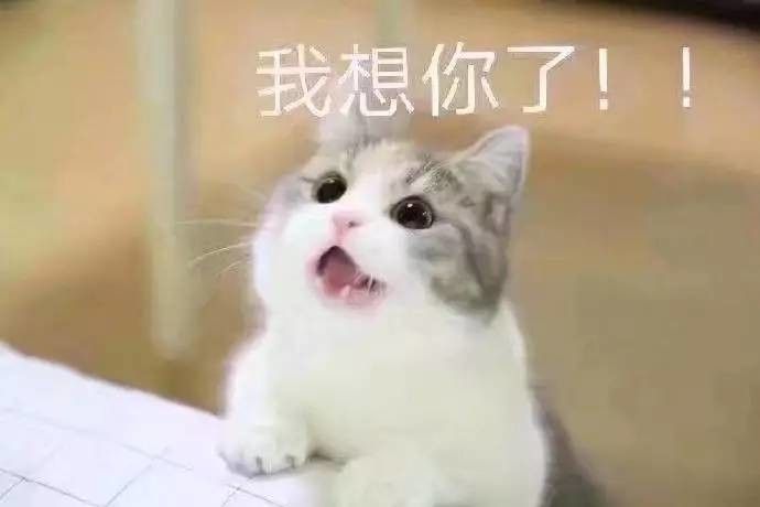 老婆你在哪表情包高清下载 老婆你在干嘛表情包高清无水印