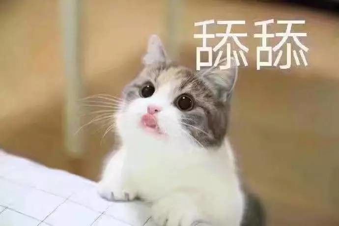 老婆你在哪表情包高清下载 老婆你在干嘛表情包高清无水印