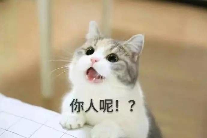 老婆你在哪表情包高清下载 老婆你在干嘛表情包高清无水印