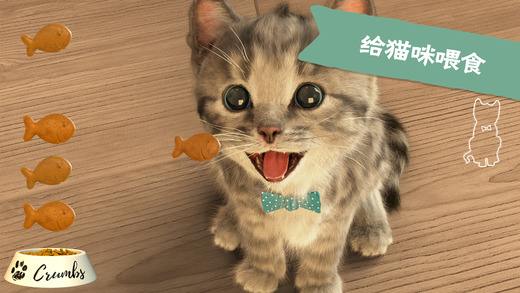 Little Kitten怎么玩 Little Kitten我最喜爱的猫猫新手教程