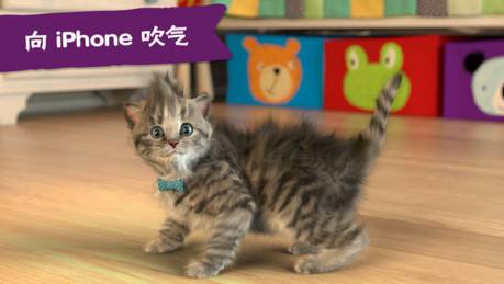 Little Kitten怎么玩 Little Kitten我最喜爱的猫猫新手教程