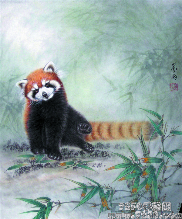 阴阳师狸猫图片在哪里查询 阴阳师狸猫高清图片