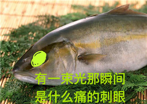 眼里闪着一丝诡异的光什么梗 眼里闪着一丝诡异的光表情包下载