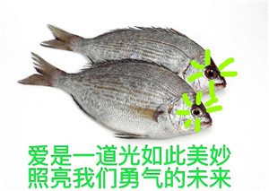 眼里闪着一丝诡异的光什么梗 眼里闪着一丝诡异的光表情包下载