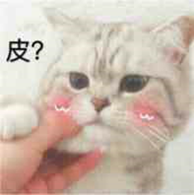 萌猫图片大全可爱头像大全 萌猫图片表情包​