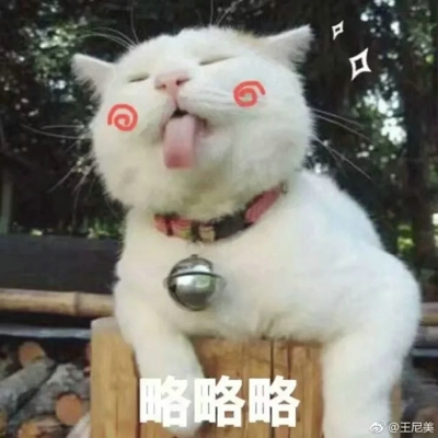 萌猫图片大全可爱头像大全 萌猫图片表情包​