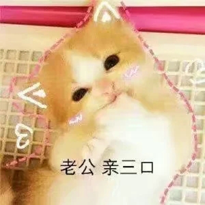 猫咪表情包带字图片大全 猫咪表情包可爱图片