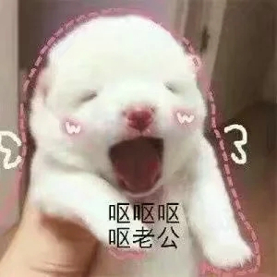 猫咪表情包带字图片大全 猫咪表情包可爱图片