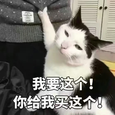 萌猫图片大全可爱头像大全 萌猫图片表情包​