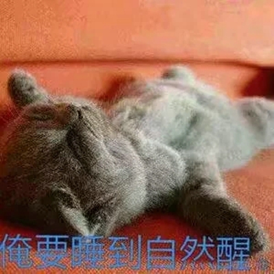 萌猫图片大全可爱头像大全 萌猫图片表情包​