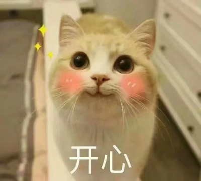 萌猫图片大全可爱头像大全 萌猫图片表情包​
