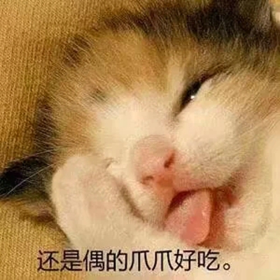 萌猫图片大全可爱头像大全 萌猫图片表情包​
