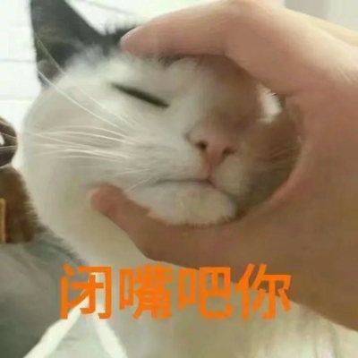 猫咪表情包带字图片大全 猫咪表情包可爱图片