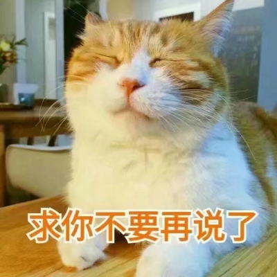 猫咪表情包带字图片大全 猫咪表情包可爱图片