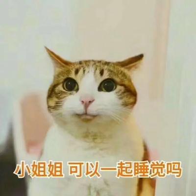 猫咪表情包带字图片大全 猫咪表情包可爱图片
